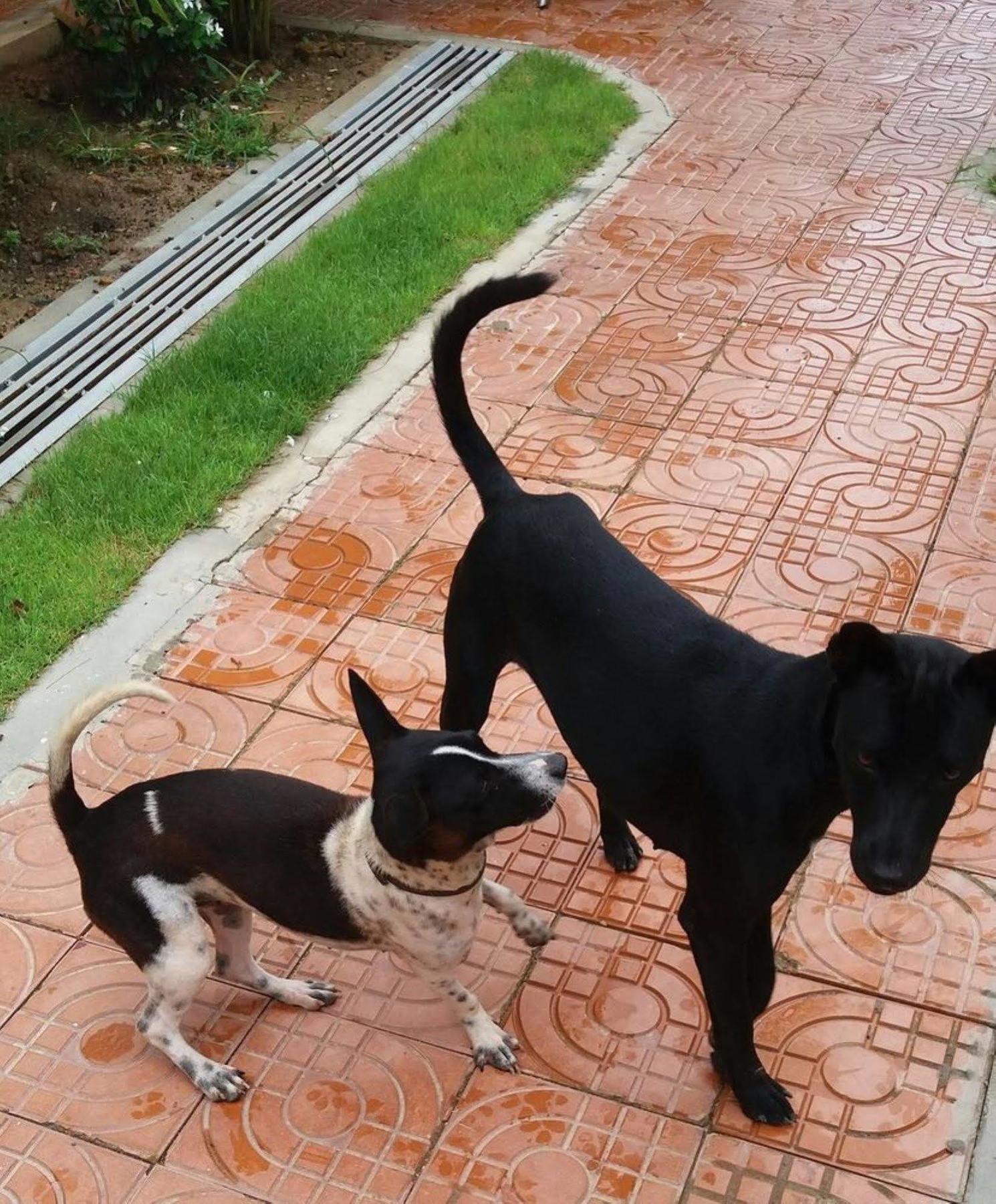 Spayhiti Sihanoukville Bagian luar foto